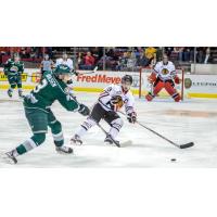 Portland Winterhawks vs. Everett Silvertips