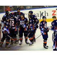 Ontario Reign Celebrate
