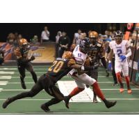 Portland Thunder vs. Arizona Rattlers