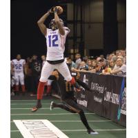 Portland Thunder vs. Arizona Rattlers
