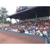 Kenosha Kingfish Fans