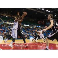 Saint John Mill Rats in Action