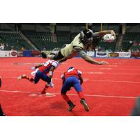 Lehigh Valley Steelhawks QB Shane McSweeny