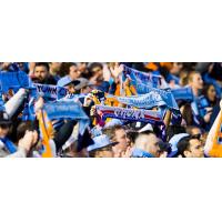 New York City FC Fans