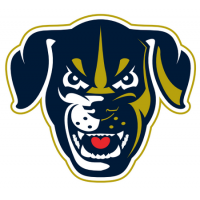 Lincoln Saltdogs New Dog Head Logo