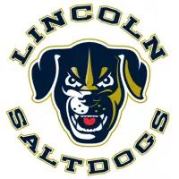 Lincoln Saltdogs New Dog Head Logo