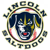 Lincoln Saltdogs New Dog Head Logo