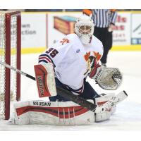 Johnstown Tomahawks Goaltender Ryan Bednard