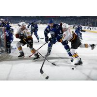 Chicago Wolves vs. Utica Comets