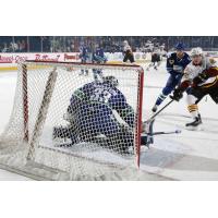 Chicago Wolves vs. Utica Comets