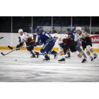 Chicago Wolves vs. Utica Comets