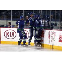 Chicago Wolves vs. Utica Comets