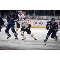 Chicago Wolves vs. Utica Comets