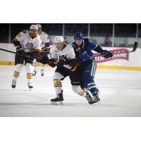 Chicago Wolves vs. Utica Comets