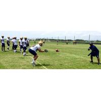 Winnipeg Blue Bombers Mini-Camp