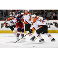 Oliver Lauridsen of the Lehigh Valley Phantoms