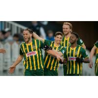 Rochester Rhinos Celebrate