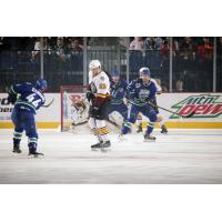 Chicago Wolves vs. Utica Comets