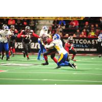 Tampa Bay Storm DB Al Phillips vs. the Cleveland Gladiators