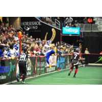 Tampa Bay Storm WR Kendrick Ings vs. the Cleveland Gladiators