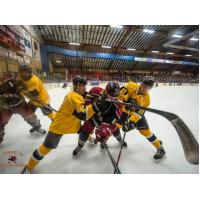 Minotauros vs. Austin Bruins