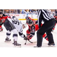Portland Pirates vs. Manchester Monarchs