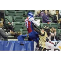 Trenton Freedom WR Colin Larmond, Jr. vs. the Lehigh Valley Steelhawks