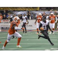 Orlando Predators WR Kendal Thompkins vs. the Spokane Shock