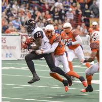 Orlando Predators WR LaMark Brown vs. the Spokane Shock