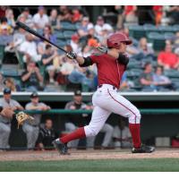 Altoona Curve Second Baseman Max Moroff