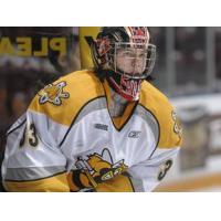 Sarnia Sting Orientation Camp