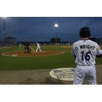 Pensacola Blue Wahoos in Action