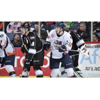 Colorado Eagles vs. Ontario Reign