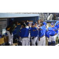 Midland RockHounds Celebrate in Dugout
