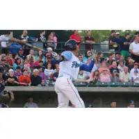 Myrtle Beach Pelicans Outfielder Jacob Hannemann