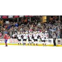 Lake Erie Monsters Celebration