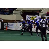 Richmond Raiders in Action