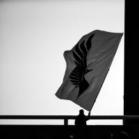 Minnesota United Flag