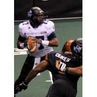 Quarterback Shane Boyd with the San Antonio Talons