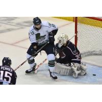 Florida Everblades vs. South Carolina Stingrays