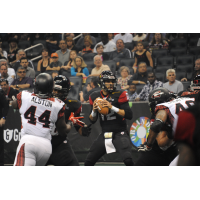 Orlando Predators QB Randy Hippeard vs. the Clevelad Gladiators