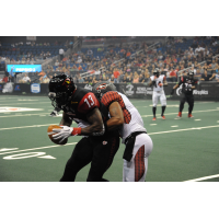 Orlando Predators WR LaMark Brown vs. the Clevelad Gladiators