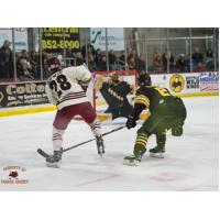 Minotauros vs. Austin Bruins