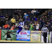 Lehigh Valley Steelhawks vs. Columbus Lions