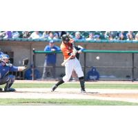 Prentice Redman of the Long Island Ducks at Bat