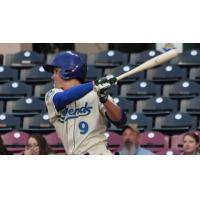 Lexington Legends in Action