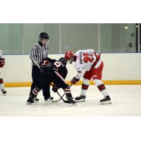 Vancouver Giants Draftee Forward Tyler Popowich