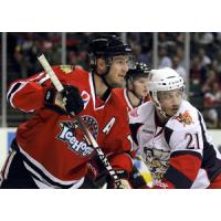 Grand Rapids Griffins vs. Rockford IceHogs