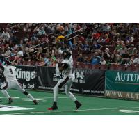 Orlando Predators Quarterback Bernard Morris