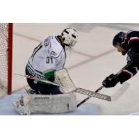 Florida Everblades vs. South Carolina Stingrays